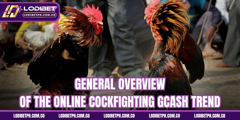 General overview of the online cockfighting GCash trend
