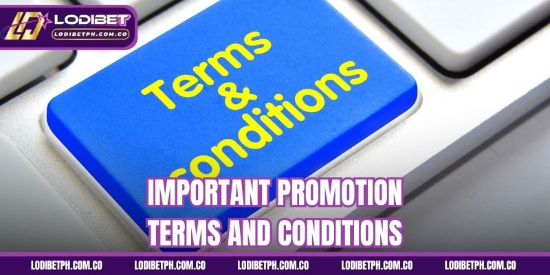 Important promotion terms and conditions