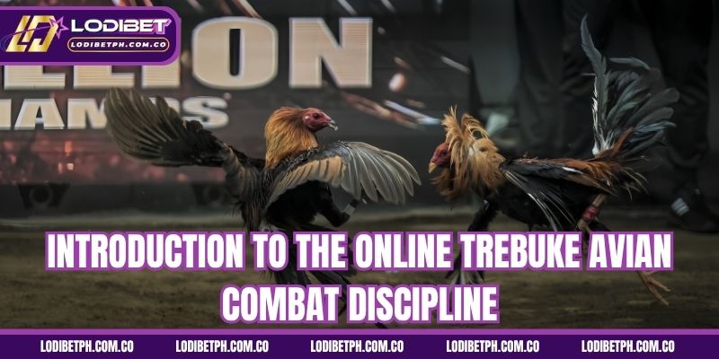Introduction to the online Trebuke avian combat discipline