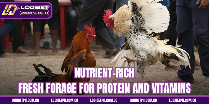 Nutrient-rich fresh forage for protein and vitamins