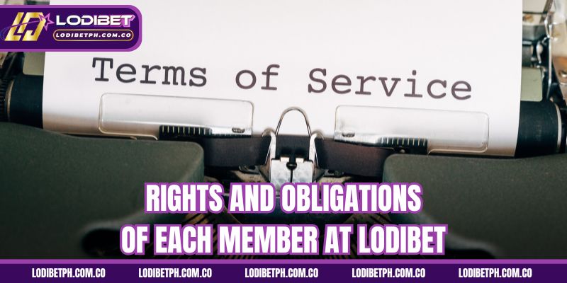 Rights and obligations of each member at Lodibet