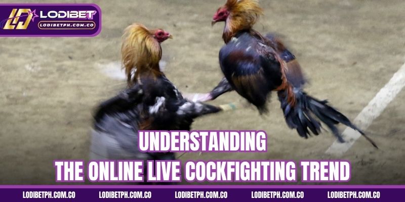 Understanding the online live cockfighting trend